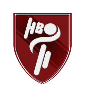 Handball Orvault