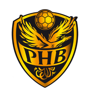 Porterie Handball * Alliance Erdre et Gesvres